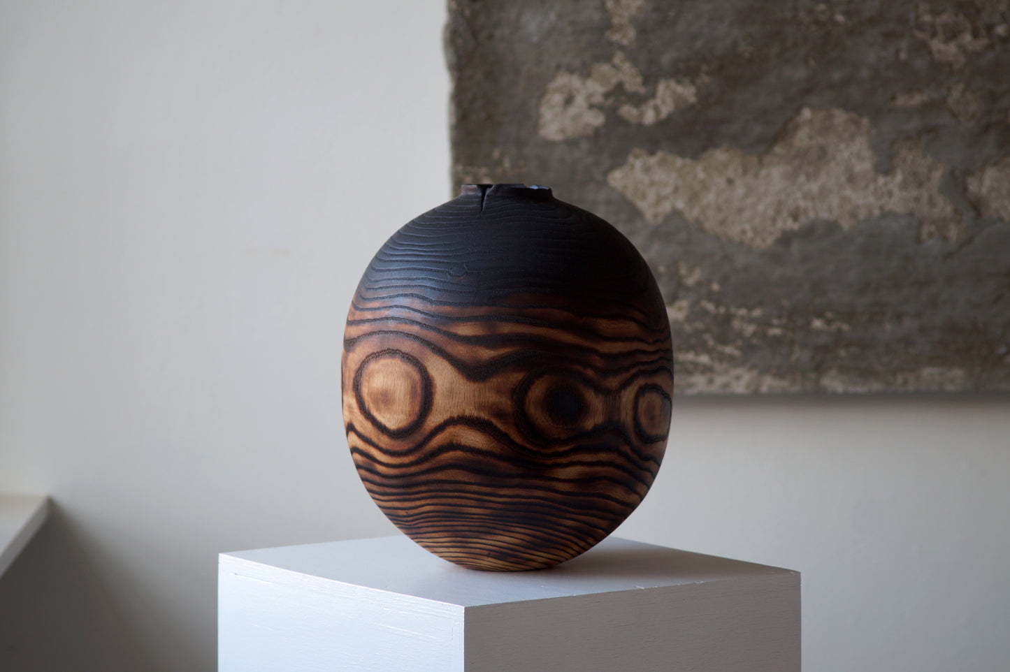 Fraxinus phoenix no. IIIV