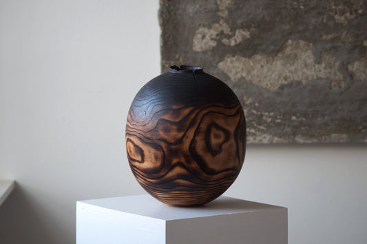 Fraxinus phoenix no. IIIV